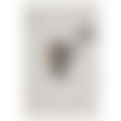 [Untitled] (preview)