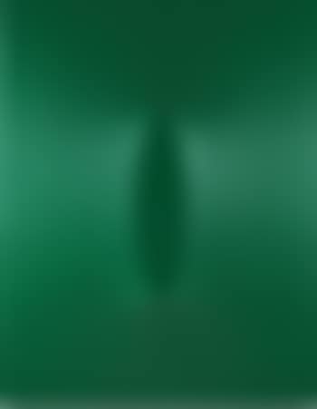 One green ellipse (preview)