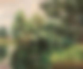 Etagn de Cervy (preview)