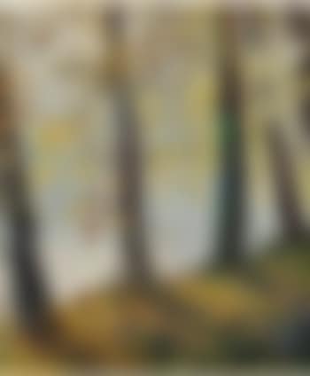 Morning fog and yellow leaves (preview)