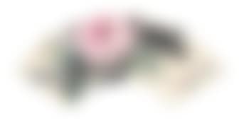 Peony (preview)