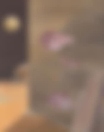 Rhinocéros (preview)