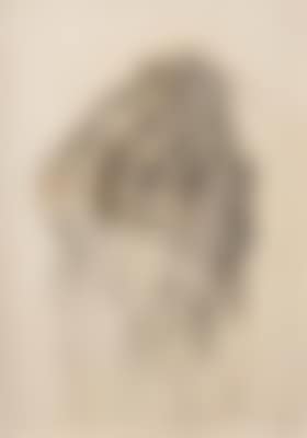 Pudelkopf (preview)
