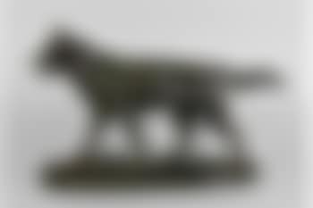 Loup qui marche (preview)
