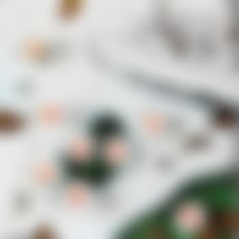 Bucaneve (preview)