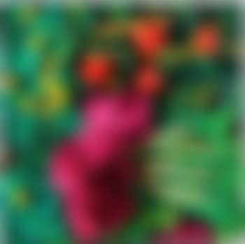 Potager (preview)