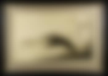 Speed (preview)