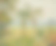 Paysage avec prairie et village (preview)