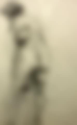 Female Nude Study (preview)