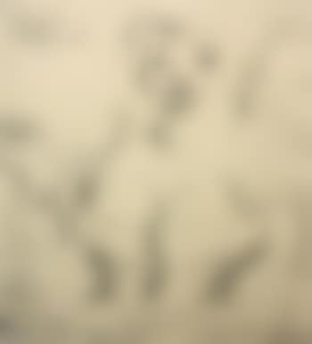(i) At the Theater; (ii) In the Dressing Room (preview)