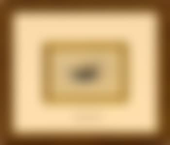 Study of a root vegetable (preview)