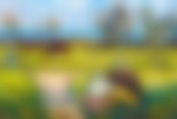 Picnic on the Seaside (preview)