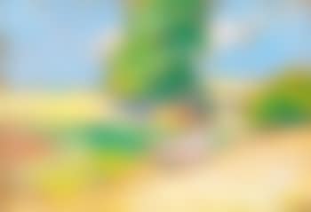 In Sunlight (preview)