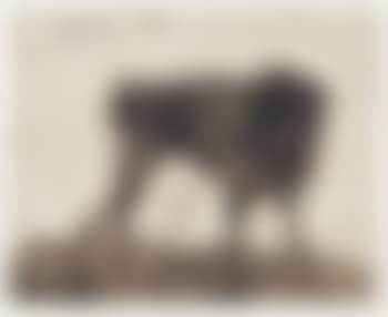 Bettinen's Kluko (preview)