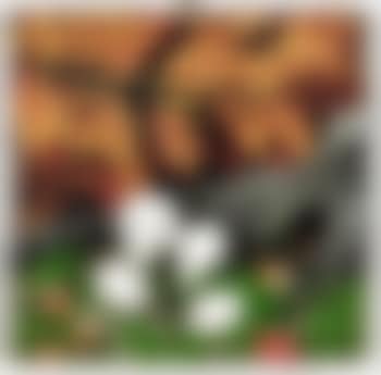 Autunno (preview)