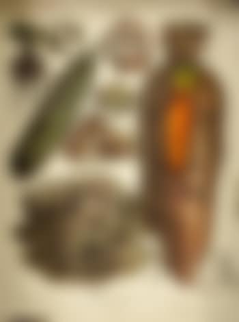 La planche naturaliste (preview)