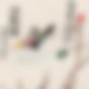 Mandarin Duck (preview)