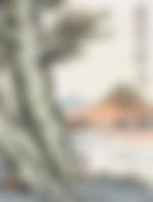 Landscape (preview)