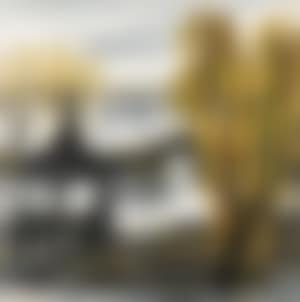 West Lake (preview)