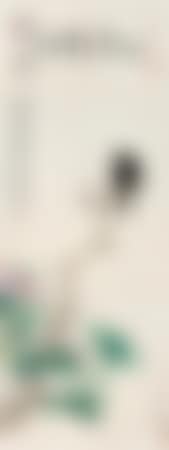 Camellia (preview)