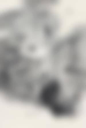Lotus in Rain (preview)