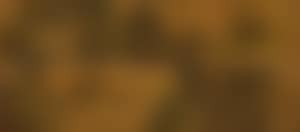 Landscape (preview)