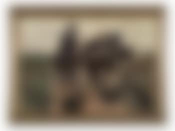 Three Horseman (preview)