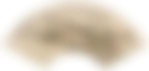 Landscape (preview)
