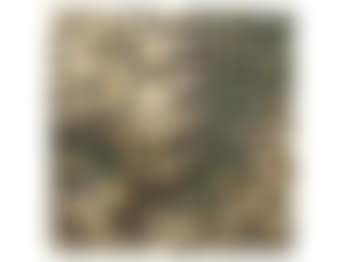 Greto di fiume (preview)