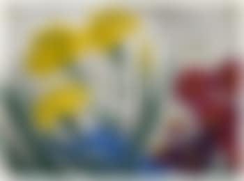 Gelbe Iris und Astern (Yellow iris and asters) (preview)