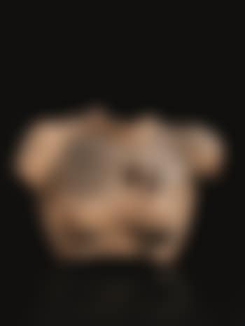 Venere (preview)