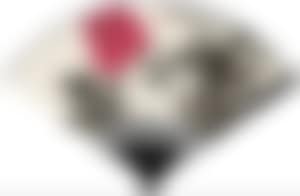 Peony and Rooster (preview)
