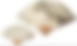 Landscape; Calligraphy (preview)