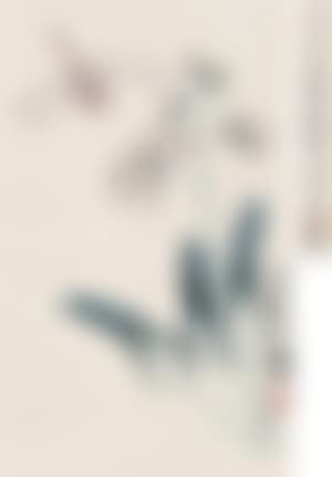 Flower and Dragonfly (preview)