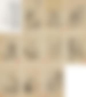 Album of Figures (preview)