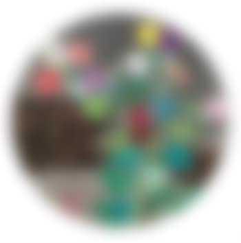 Kansei (preview)