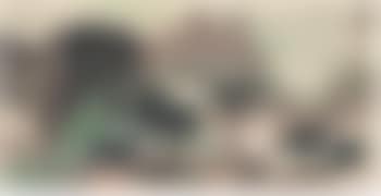 Green trees on the hills (preview)