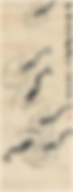 Shrimps (preview)