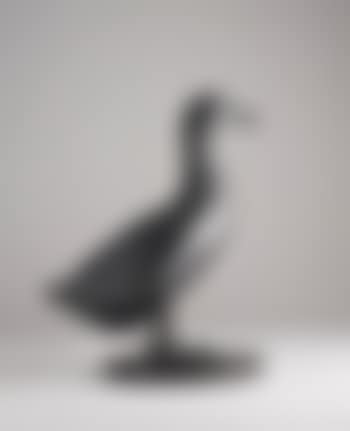 Canard (preview)
