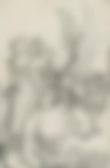 Coat of Arms with a Skull (preview)