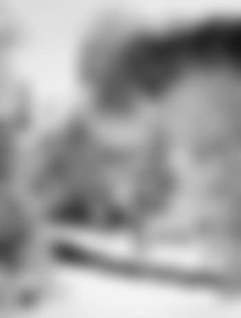 El Capitan, Winter (preview)