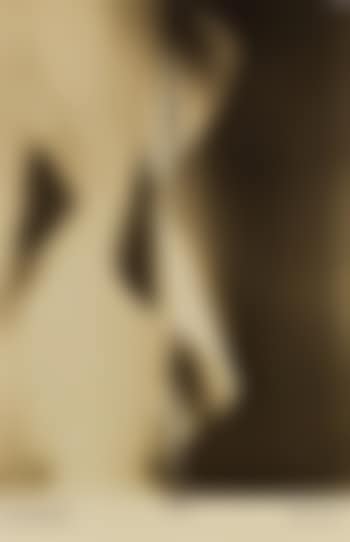 Lampshade (preview)