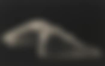 Perspective II (preview)