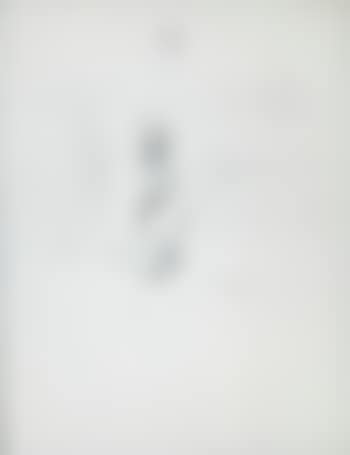 [Untitled] (preview)