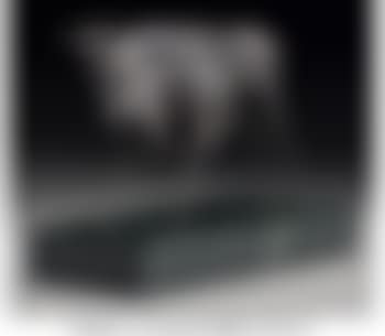 Bull (preview)