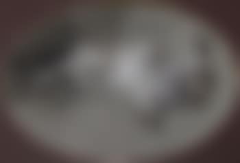 A hare (preview)