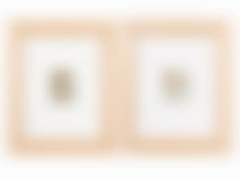 Pair Male Nudes (preview)