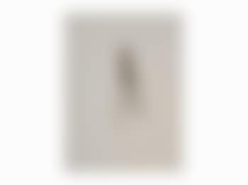Nude (preview)