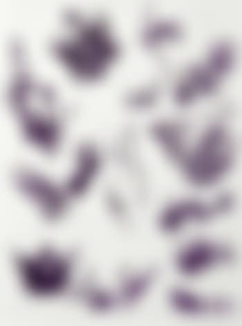 Sans titre (preview)