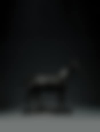 Horse (preview)